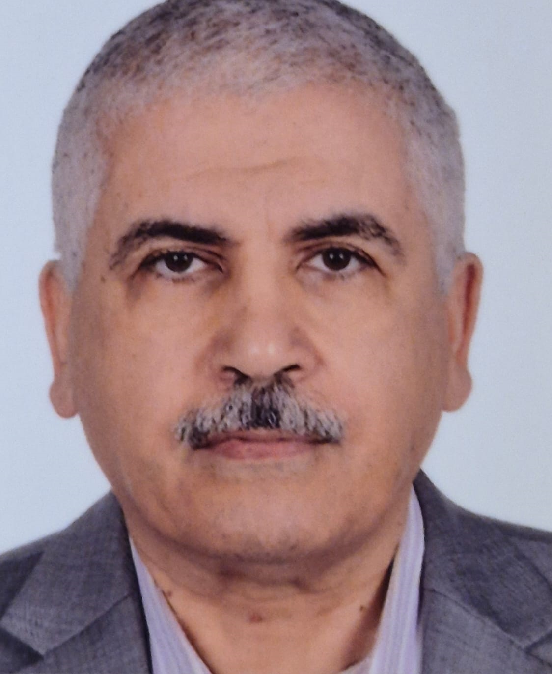 Hasan Galal Abdel-Salam Amer